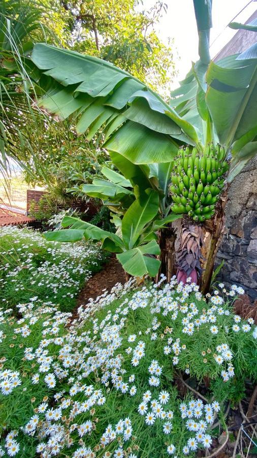 Casa Ideal Para Familias Com Vista Mar Desafogada ฟุงชาล ภายนอก รูปภาพ