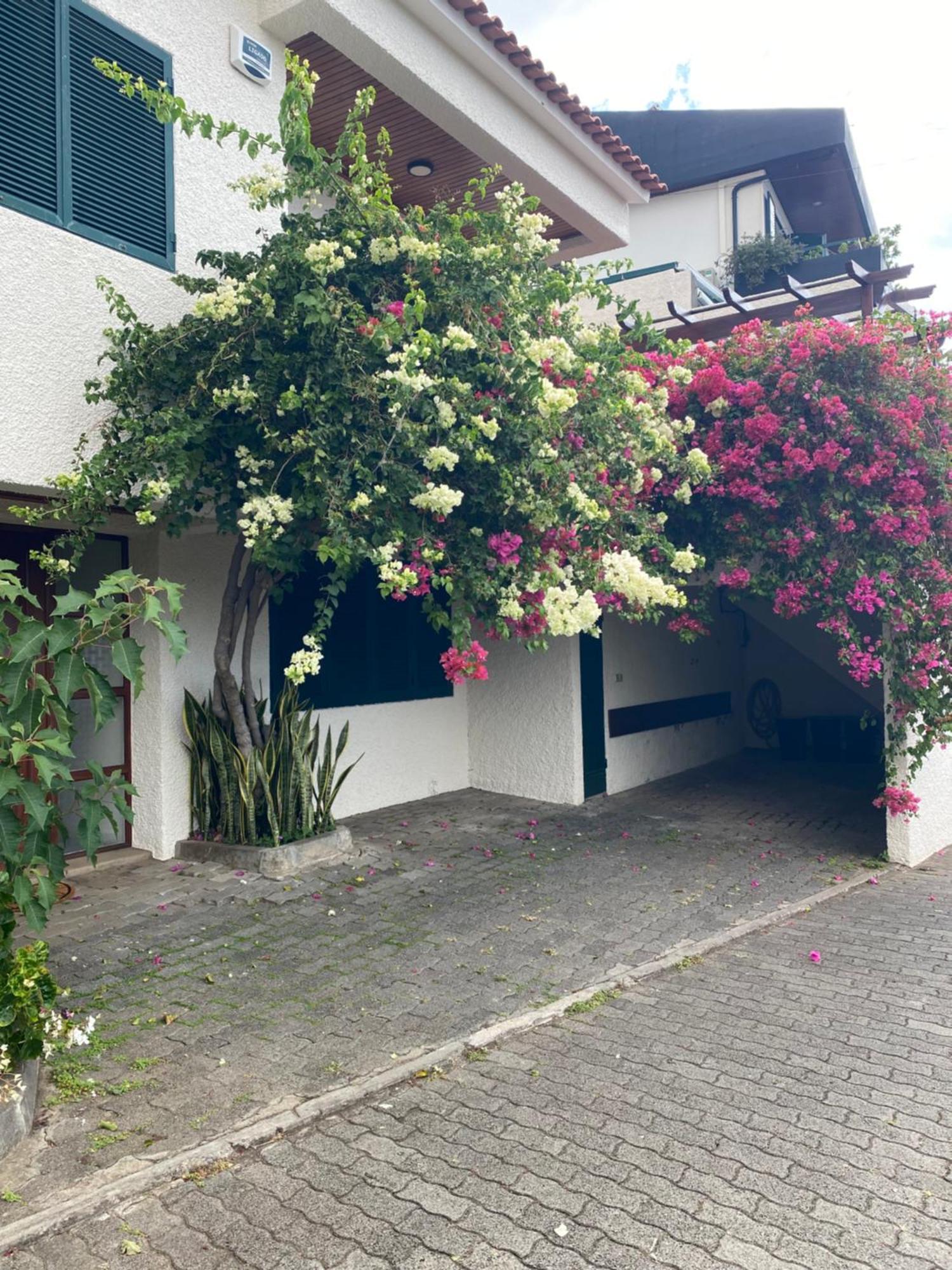 Casa Ideal Para Familias Com Vista Mar Desafogada ฟุงชาล ภายนอก รูปภาพ
